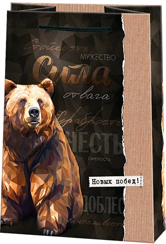 оптом и в розницу ламинированные=й пакет с медведем и другими мужскими дизайнами